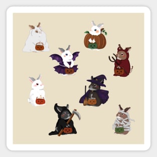 Rabbit Halloween Pattern _ Bunniesmee Halloween Edition Magnet